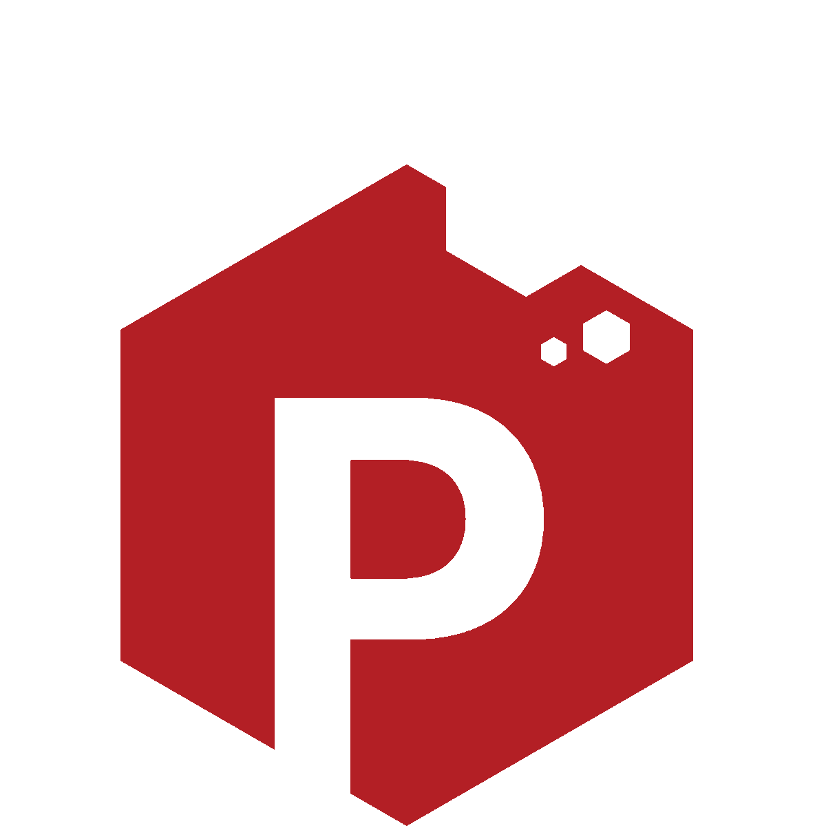 Icona del nostro software per la gestione dei pazienti con la lettera 'P'.